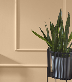 Creamy neutral, Holmes Cream, paneled wall with raised planter.