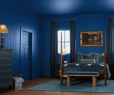 2025 Color of the Year