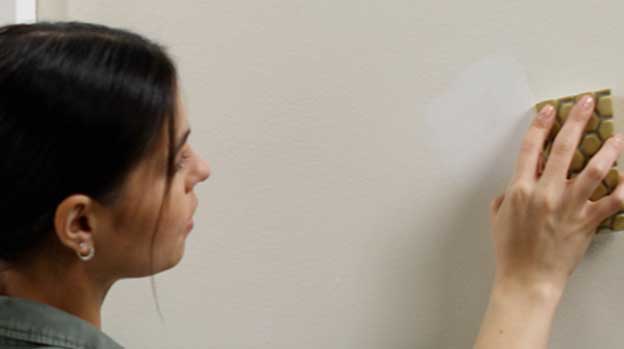 Close-up of person scrubbing a wall with a sponge.